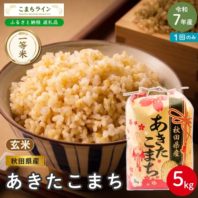令和7年産 あきたこまち 玄米 5kg 秋田県産 米 一等米 ブランド米 5キロ  一人暮らし 秋田 能代 能代市 送料無料 《こまちライン》