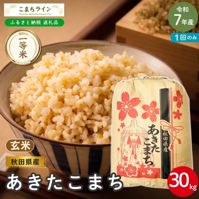 令和7年産 あきたこまち 玄米 30kg 秋田県産 米 一等米 ブランド米 30キロ  一人暮らし 秋田 能代 能代市 送料無料 《こまちライン》