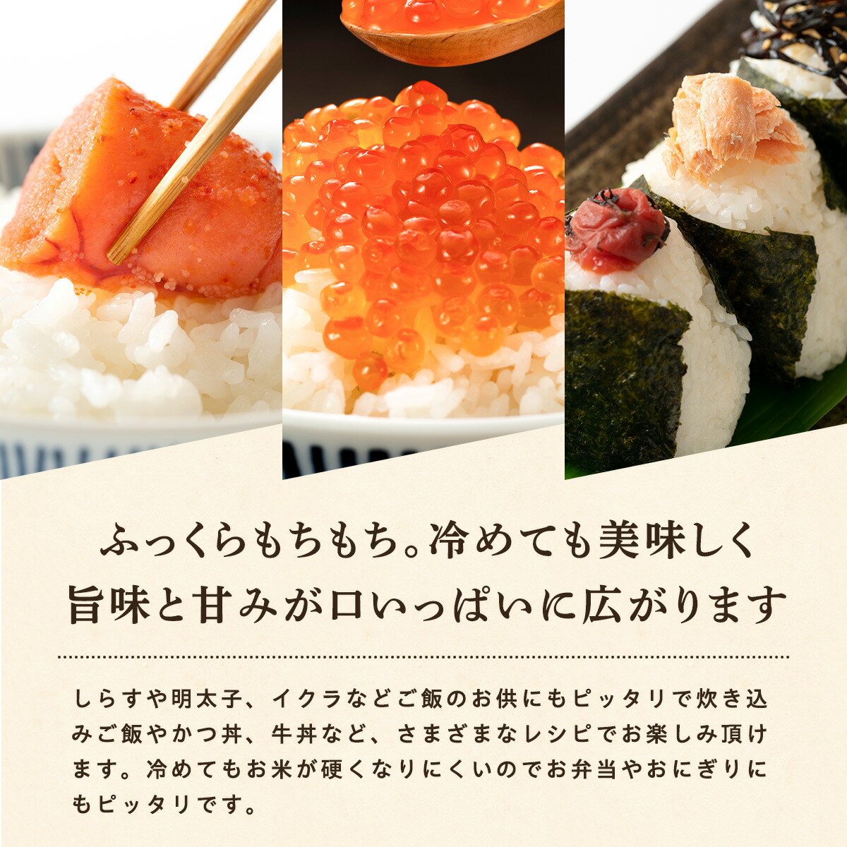 令和7年産 あきたこまち 玄米 20kg 秋田県産 米 一等米 ブランド米 20