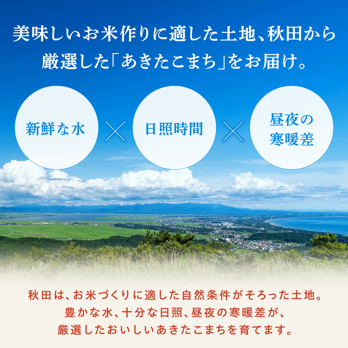 令和7年度産　あきたこまち（秋田県産）20㌔玄米 ⭐︎一等米 令和7年産 あきたこまち 玄米 20kg 秋田県産 米 一等米 ブランド米 20