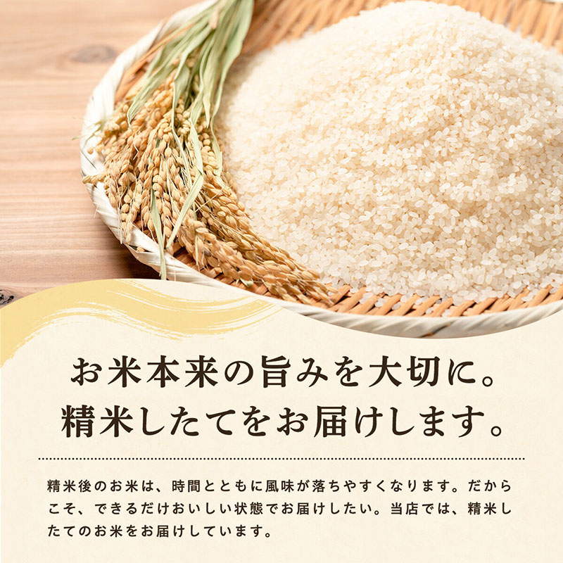 6回定期便 》 米 令和8年産 あきたこまち 無洗米 3kg×6回 秋田県産 米