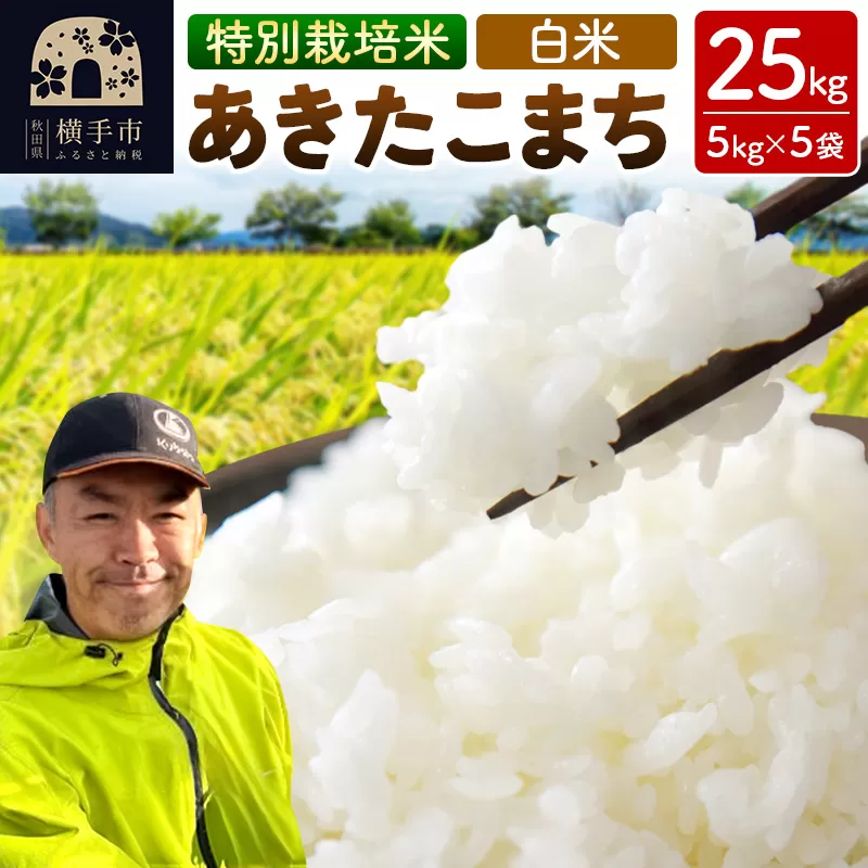 秋田県 横手市 【白米】令和7年産 秋田県産 特別栽培米 あきたこまち 25kg（5kg×5袋） 秋田県横手市