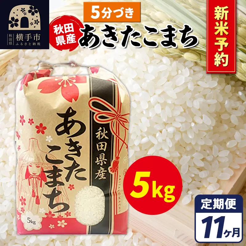 《令和7年産 新米受付》《定期便11ヶ月》あきたこまち 5kg【5分づき】秋田県産 こまちライン