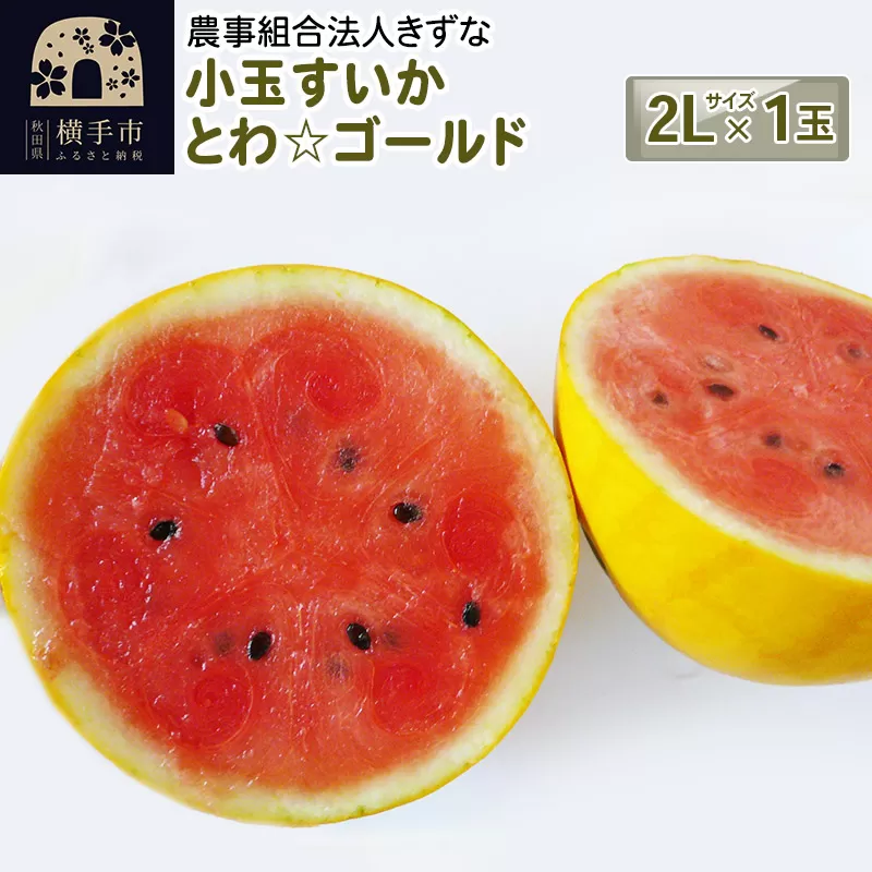 《7月下旬より順次発送》小玉すいか（とわ☆ゴールド）2Lサイズ1個入 横手市