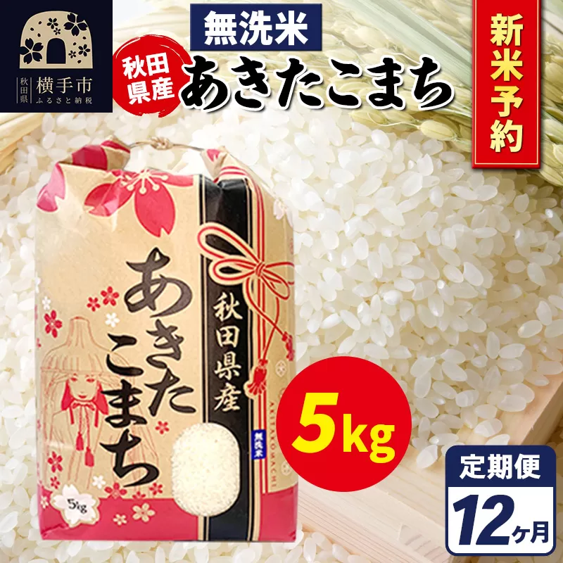 《令和7年産 新米受付》《定期便12ヶ月》あきたこまち 5kg【無洗米】秋田県産 こまちライン 横手市