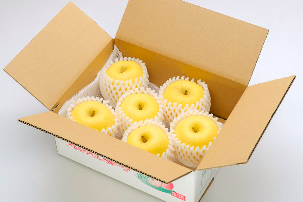 先行受付】12月上旬より発送 樹上完熟りんご（はるか）贈答用 約2kg