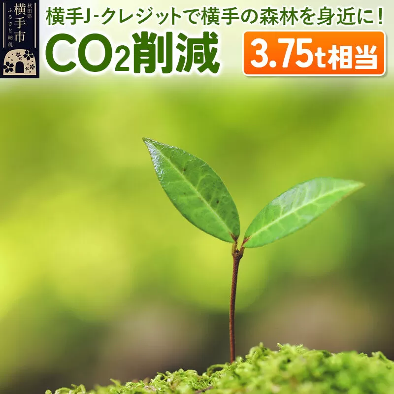 横手J‐クレジットで横手の森林を身近に! CO2削減 3.75t相当 [環境保護 森林保全 森林保護 SDGs エコ eco 二酸化炭素 CO2] 秋田県横手市