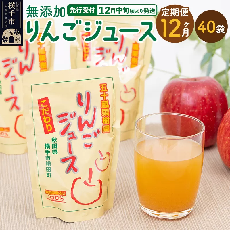 《定期便12ヶ月》 無添加りんごジュース（サンふじ）40パック 横手市