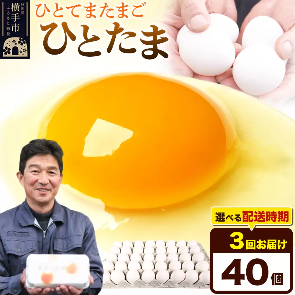 《定期便3ヶ月》ひとたま 40個（業務用）【発送時期が選べる】東海林養鶏場 ひとたま 卵 玉子 たまご タマゴ 3か月 3ヵ月 3カ月 3ケ月 開始時期選べる