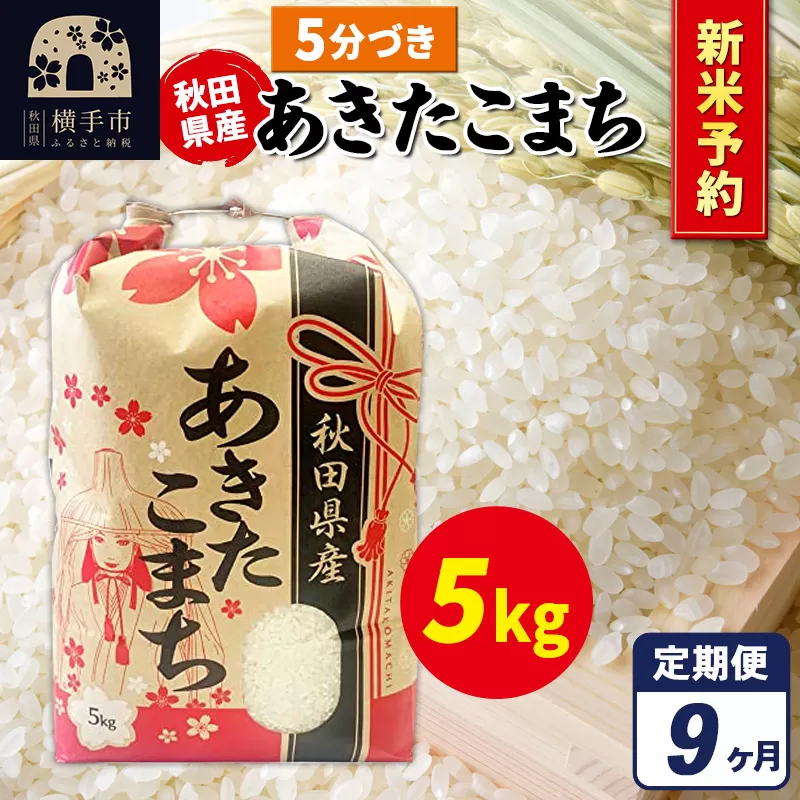《令和7年産 新米受付》《定期便9ヶ月》あきたこまち 5kg【5分づき】秋田県産 こまちライン