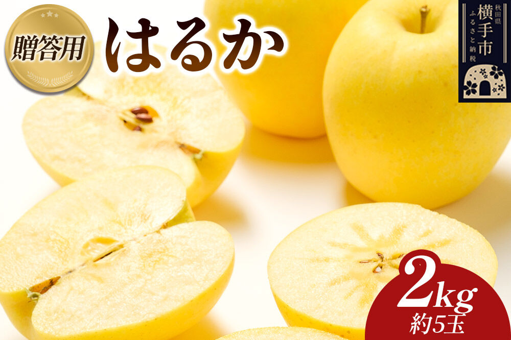 先行受付】12月上旬より発送 樹上完熟りんご（はるか）贈答用 約2kg