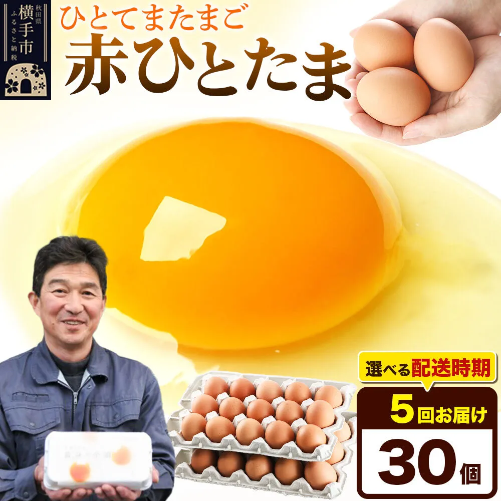【常温発送】《定期便5ヶ月》赤ひとたま 30個（業務用）【発送時期が選べる】東海林養鶏場 赤ひとたま 卵 玉子 たまご タマゴ 5か月 5ヵ月 5カ月 5ケ月 開始時期選べる [東海林養鶏場 赤ひとたま 卵 玉子 たまご タマゴ 5か月 5ヵ月 5カ月 5ケ月 開始時期選べる] 秋田県横手市