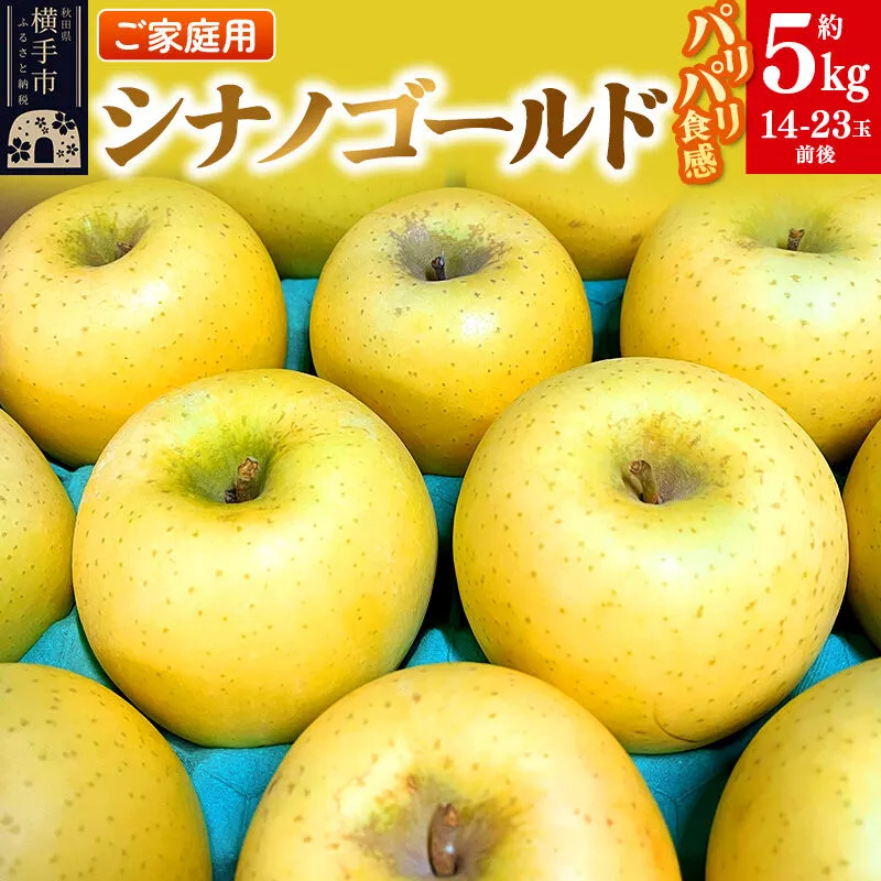 【先行受付】1月中旬より発送 パリパリ食感シナノゴールド ご家庭用 約5kg（14〜23玉前後） [先行予約 しなのごーるど 林檎 りんご リンゴ 家庭用 不揃い おまかせ 【りんご】特集] 秋田県横手市