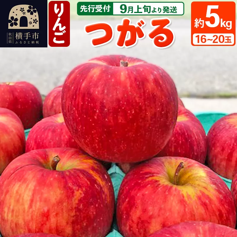 【先行受付】9月上旬より発送 つがる りんご 約5kg（16〜20玉）玉数おまかせ