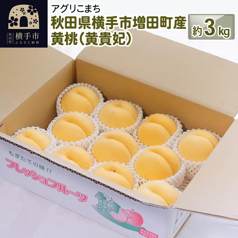 秋田県横手市増田町産 黄桃（黄貴妃） 約3kg 横手市