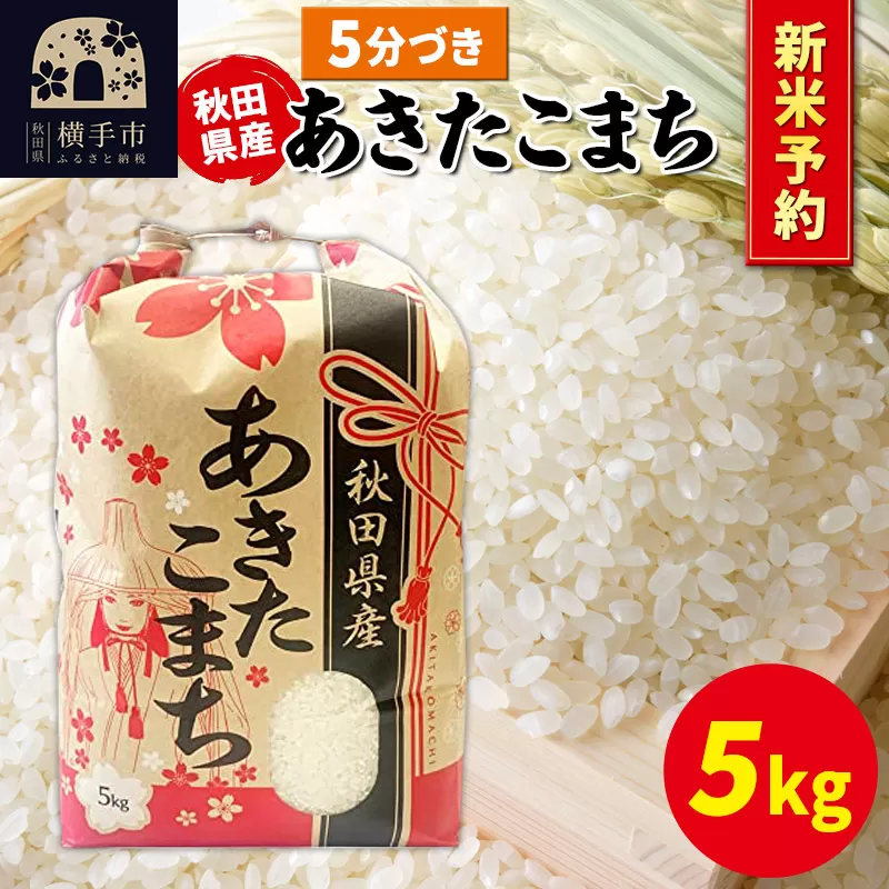 《令和7年産 新米受付》あきたこまち 5kg×1袋【5分づき】秋田県産 こまちライン