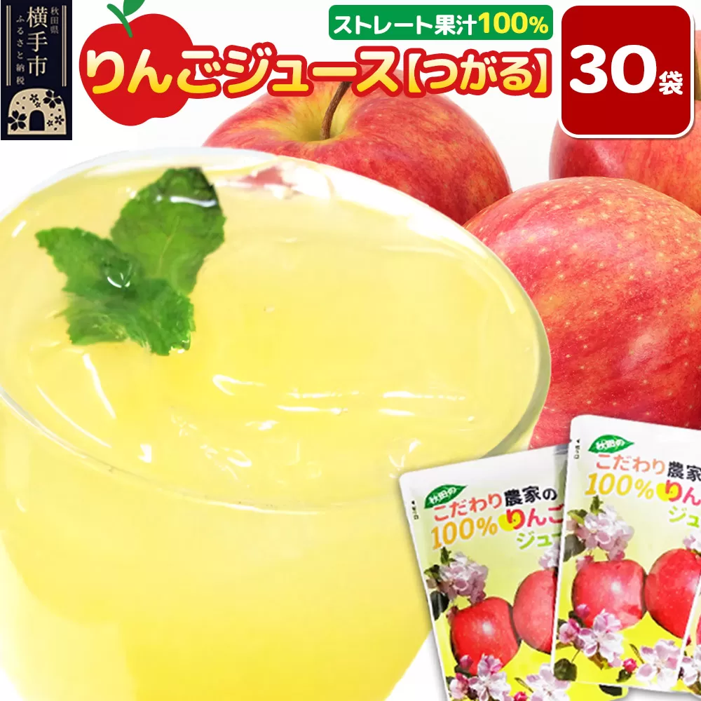 りんごジュース（つがる）30袋 秋田県横手市