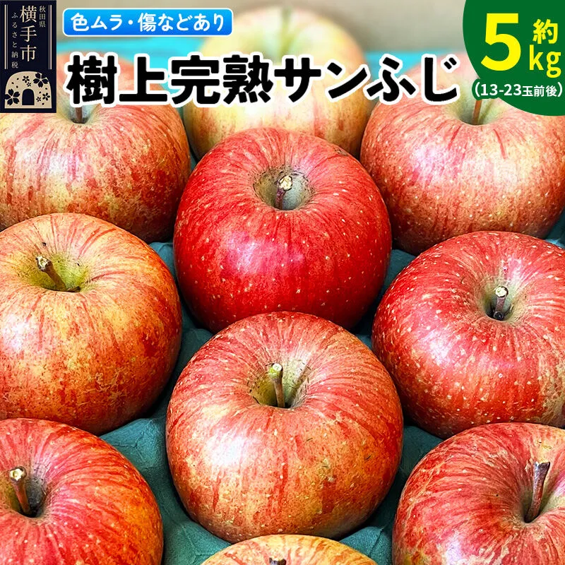 [先行受付]12月上旬より発送[色ムラ・キズ等あり]樹上完熟サンフジ 約5kg(13〜23玉前後) [サンふじ サンフジ 林檎 リンゴ 家庭用 不揃い フルーツ 果物 [りんご]特集] 秋田県横手市