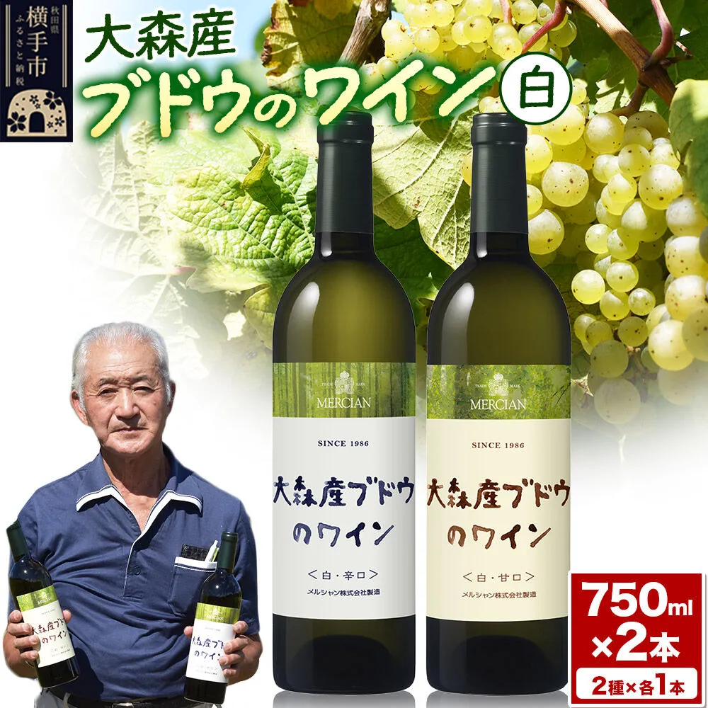 大森産ワインの甘辛飲みくらべ  750ml×各1本 計2本 [大森産 赤ワイン 白ワイン ワイン お酒 甘口 辛口 飲みくらべ 飲み比べ 秋田県 横手市] 秋田県横手市