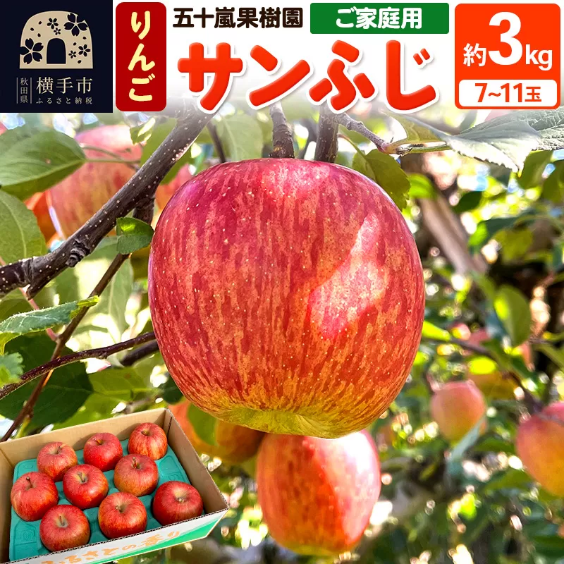 12月中旬より発送 サンふじ[ご家庭向け]約3kg(7〜11玉)りんご 林檎 秋田県横手市