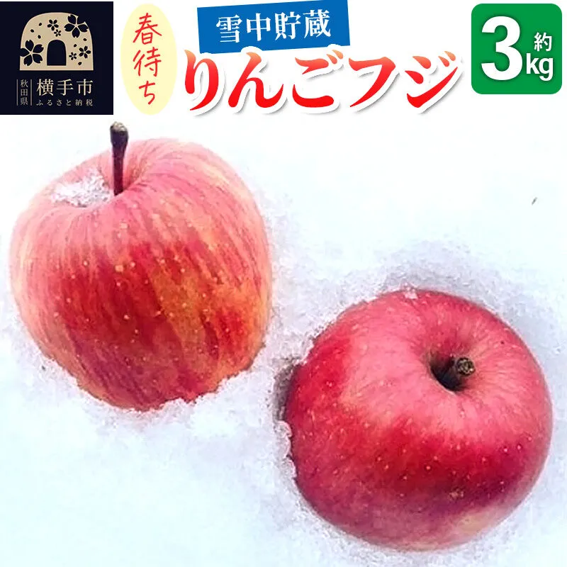 [先行受付!3月上旬より順次発送]雪中貯蔵 春待ちりんご フジ 3kg [先行予約 りんご フジ 希少 [りんご]特集] 秋田県横手市