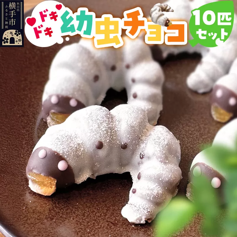 幼虫チョコ10匹セット 小松屋本店 プレゼント インスタ映え お菓子 スイーツ チョコ チョコレート ギフト 横手市
