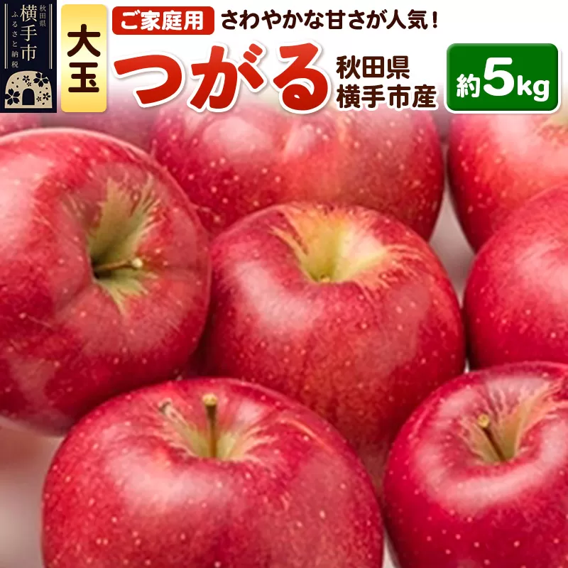 酸味が少なくさわやかな甘さが特徴！横手産りんご【つがる】【大玉】ご家庭用 約5kg(〜18玉) 横手市