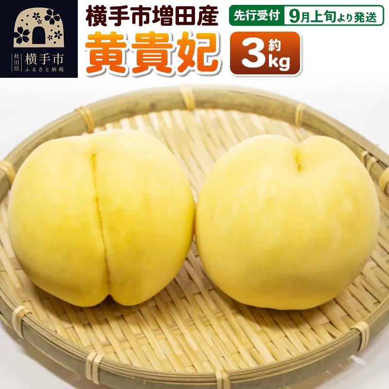 【先行受付】9月上旬より発送 横手市増田産の桃（黄貴妃）約3kg
