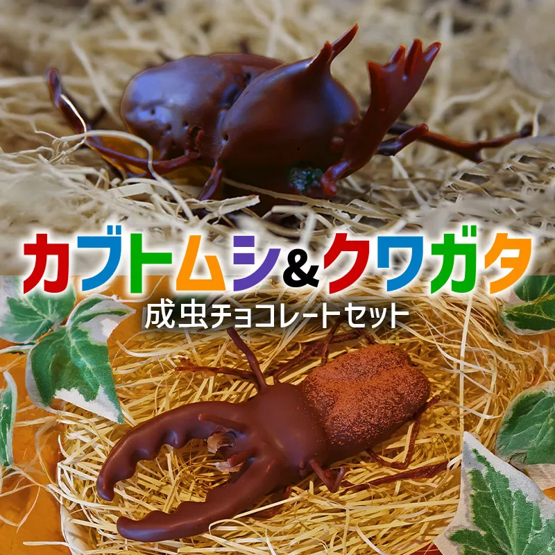 カブトムシの成虫チョコレート＆クワガタチョコレート 小松屋本店 プレゼント インスタ映え お菓子 スイーツ チョコ チョコレート ギフト