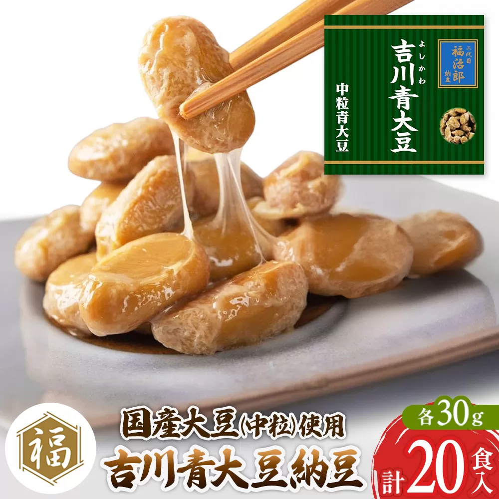 二代目福治郎納豆　吉川青大豆納豆【中粒】10袋（1袋×2食入）計20食 横手市