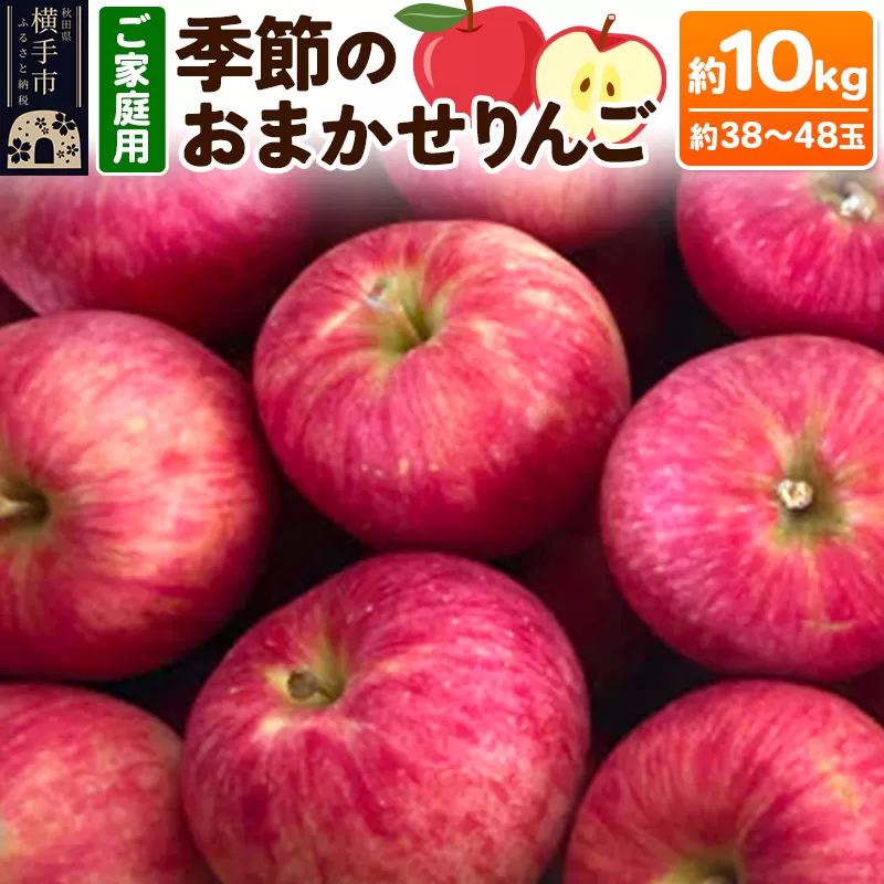 【訳あり】秋田県産 ご家庭用 季節のおまかせりんごシリーズ 約10kg(約38玉〜48玉前後)【簡易梱包での発送】 横手市