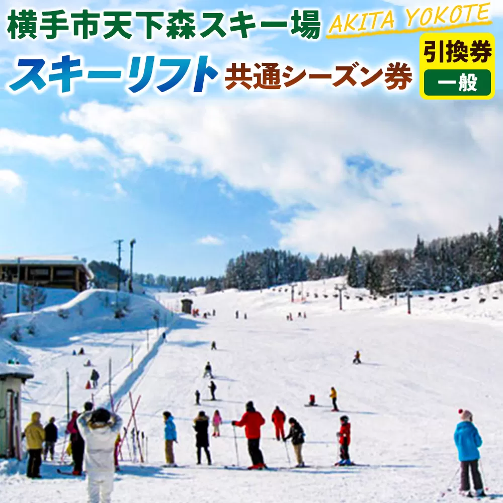 横手市天下森スキー場 スキーリフト共通シーズン券(一般)引換券 ゆうパケット 秋田県横手市