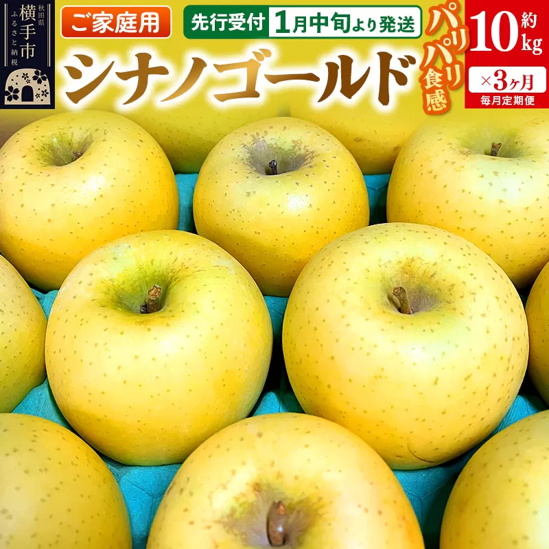 【先行受付】1月中旬より発送 《定期便3ヶ月》パリパリ食感シナノゴールド ご家庭用 約10kg（1回28〜46玉前後）×3回 計30kg 3か月 3ヵ月 3カ月 3ケ月 横手市