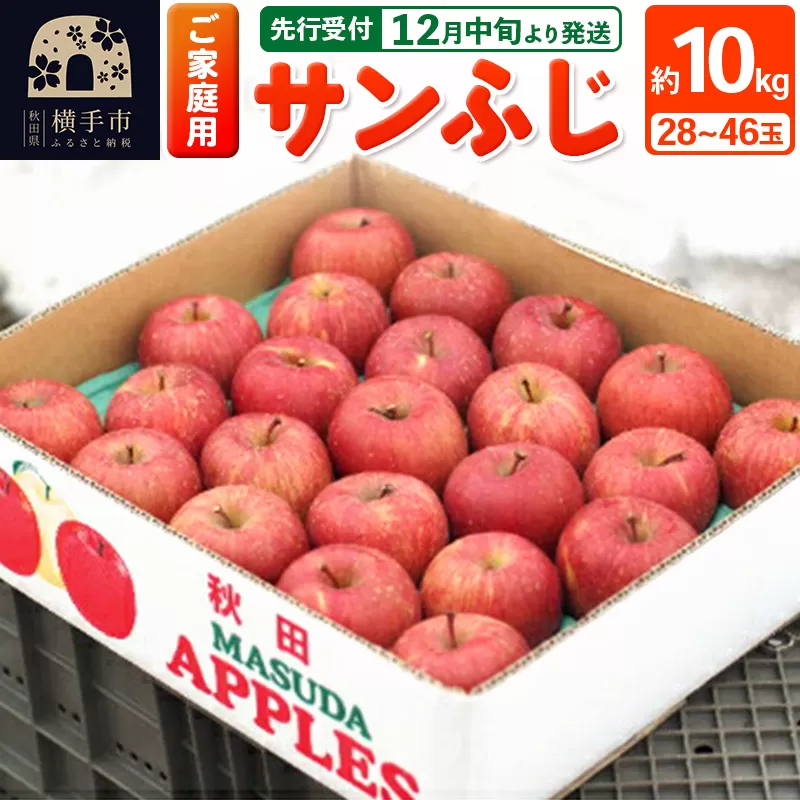 【先行受付】12月中旬より発送 【ご家庭向け】サンふじ 約10kg (28〜46玉) りんご 林檎
