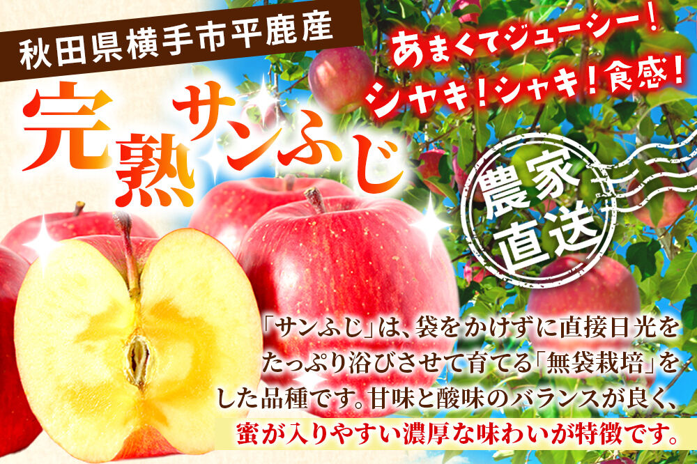 先行受付】11月下旬より発送 完熟サンふじ秀品 約2kg（6〜8個入