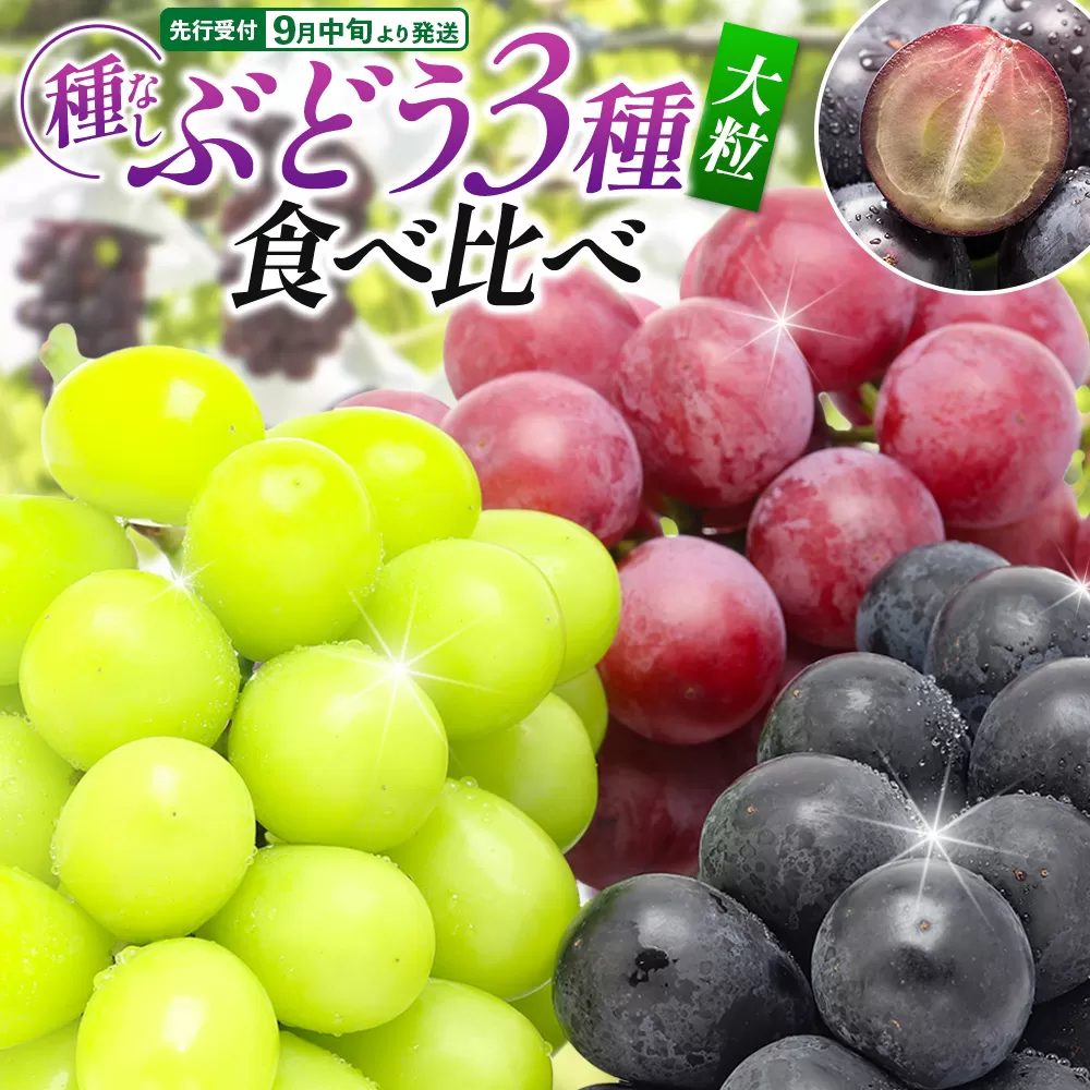 【先行受付】9月中旬より発送 【ぶどう3種食べ比べ】濃甘な完熟葡萄 横手市大沢地区産 旬な種無し大粒品種ぶどう 3種類詰合せ  巨峰 ピオーネ シナノスマイル クィーンニーナ タマユタカ 翠峰 ぶどう ブトウ 種なし 詰め合わせ 食べ比べ フルーツ 果物 秋田 横手市