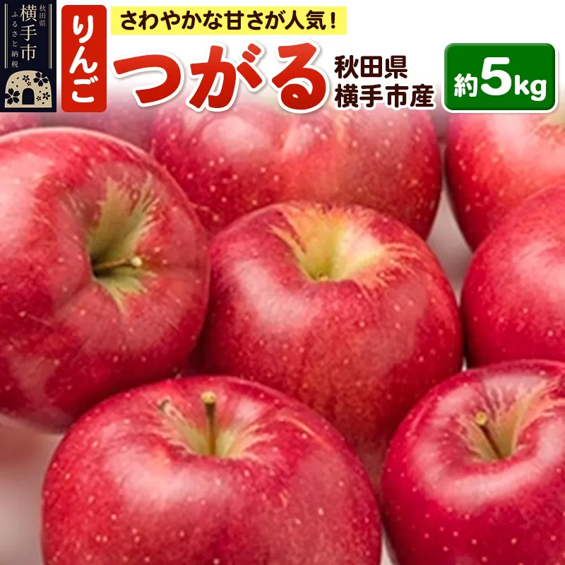 酸味が少なくさわやかな甘さが特徴！横手産りんご【つがる】約5kg 横手市