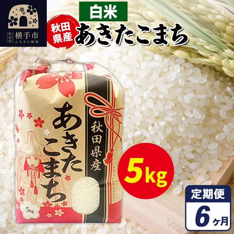 《定期便6ヶ月》あきたこまち 5kg×1袋【白米】令和7年産 秋田県産 こまちライン 横手市