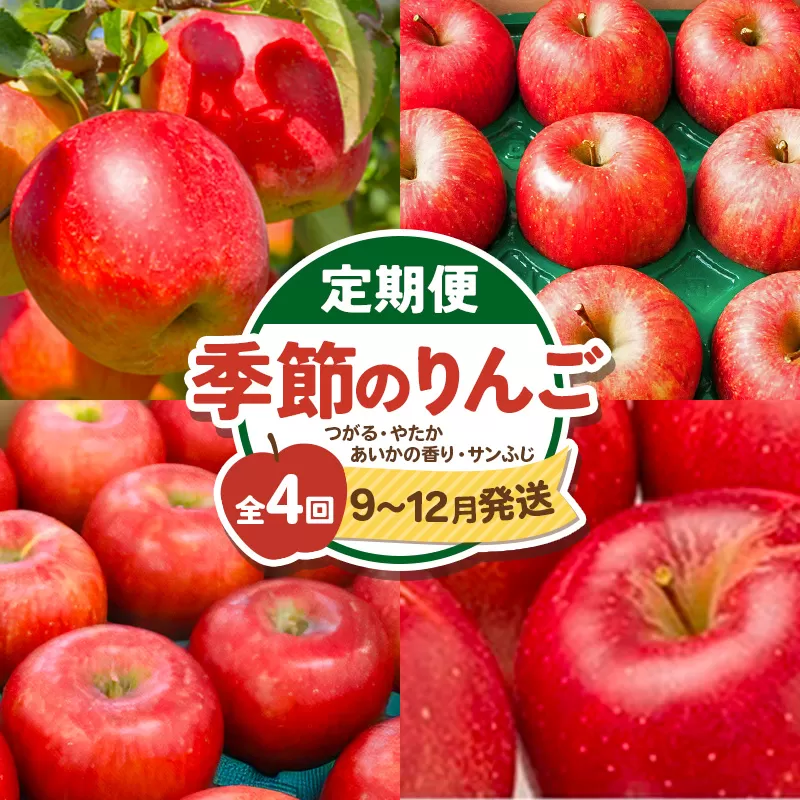 《定期便4ヶ月》季節のりんご 約5kg×4回 計約20kg 定期便《9月〜12月お届け》（つがる・やたか・あいかの香り・サンふじ）