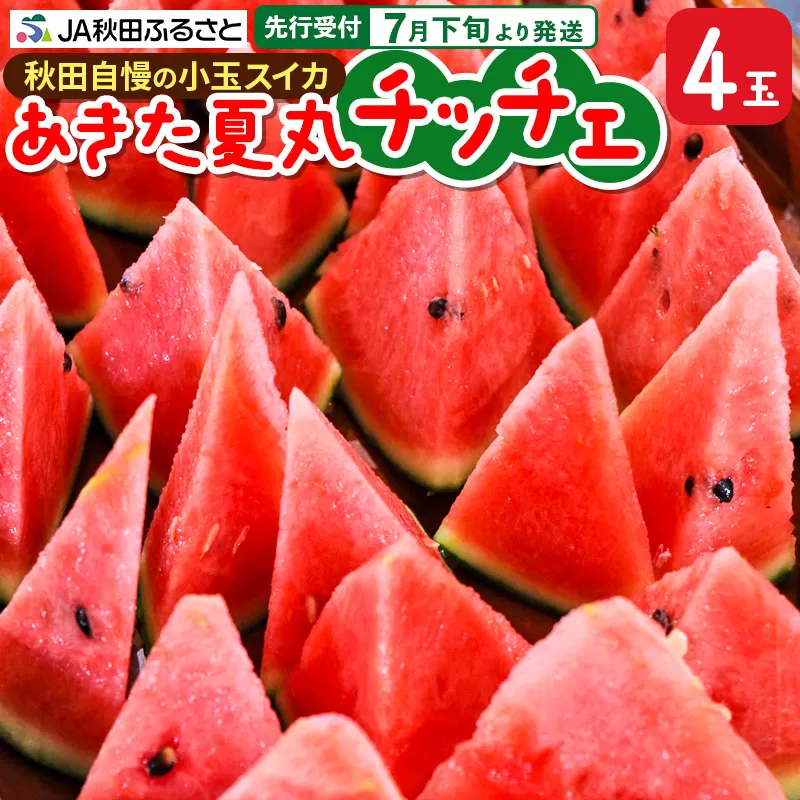【先行受付】7月下旬より発送 秋田県横手市産 小玉すいか あきた夏丸チッチェ 約3kg×4玉セット