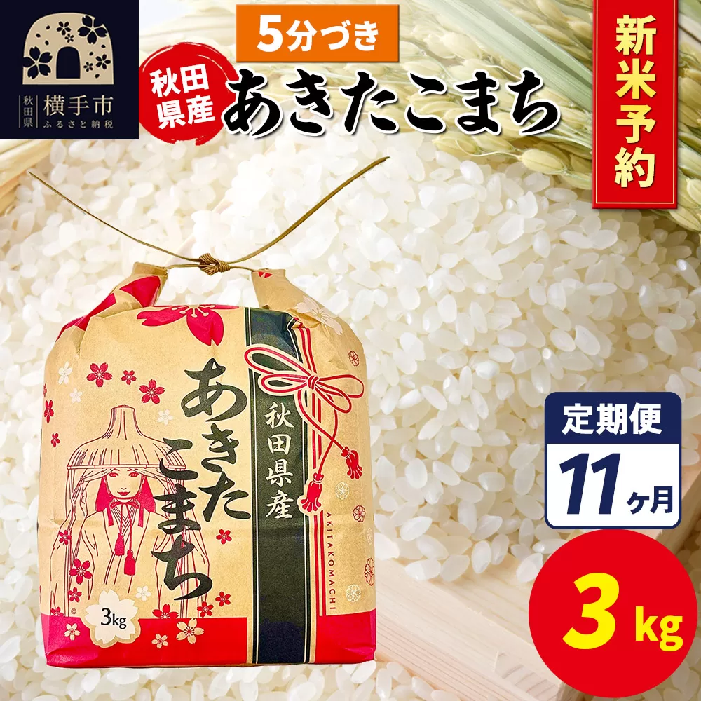 《令和7年産 新米受付》《定期便11ヶ月》あきたこまち 3kg×1袋【5分づき】令和7年産 秋田県産 こまちライン
