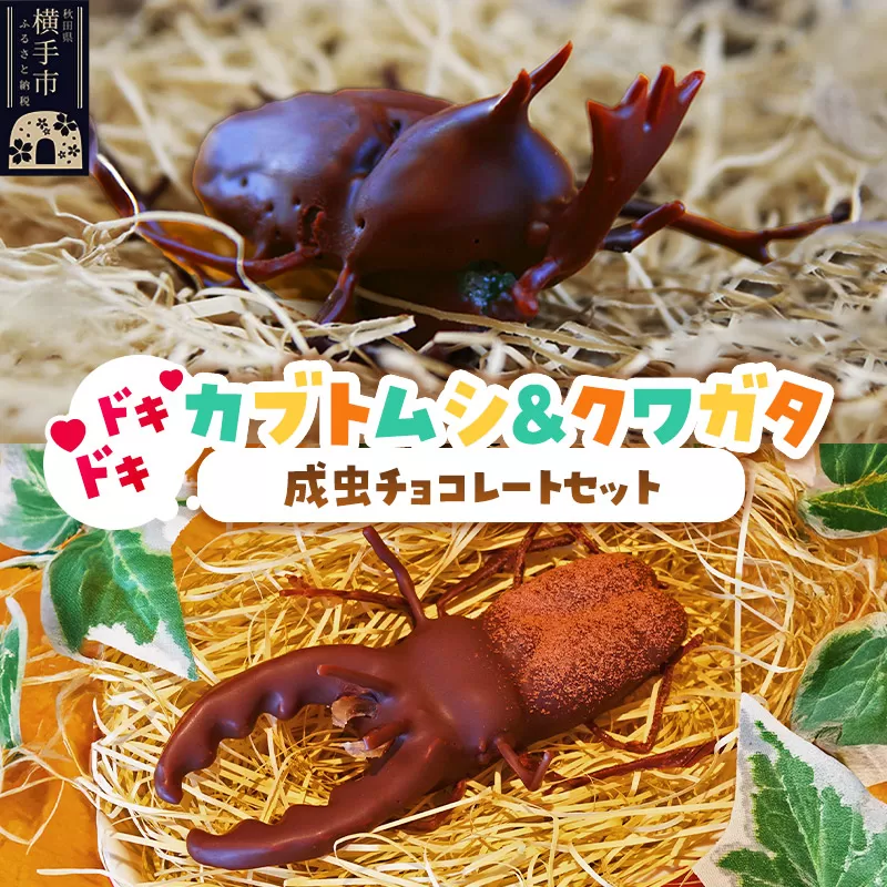 カブトムシの成虫チョコレート&クワガタチョコレート 小松屋本店 プレゼント インスタ映え お菓子 スイーツ チョコ チョコレート ギフト 横手市