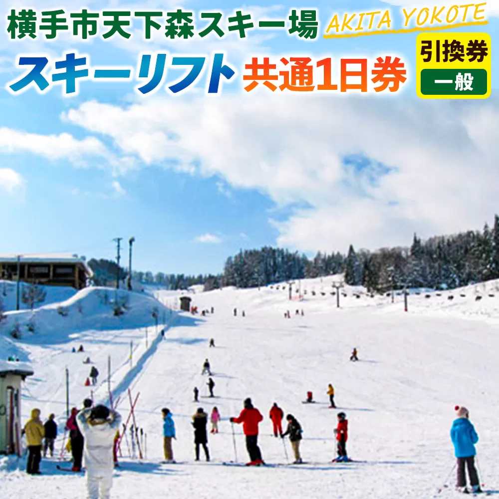 横手市天下森スキー場 スキーリフト共通1日券(一般)引換券 ゆうパケット 秋田県横手市