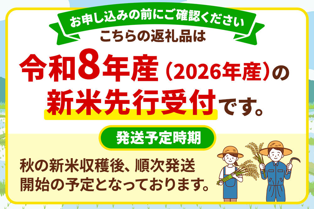 専用❣❣新米✨令和4年8月収穫✨30kg 令和8年産 新米受付》米 あきたこまち 30kg（5kg×6袋） 【無洗米
