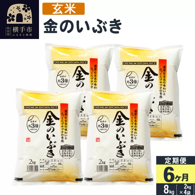 【令和5年産】【玄米】《定期便6ヶ月》令和5年産 金のいぶき 8kg(2kg×4袋)×6回 計48kg 横手市