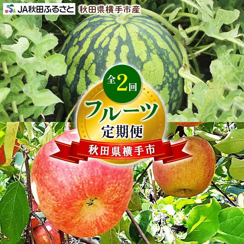 秋田県横手市産 フルーツ定期便(すいか・りんご)【2回お届け】《7月・11月発送》 横手市