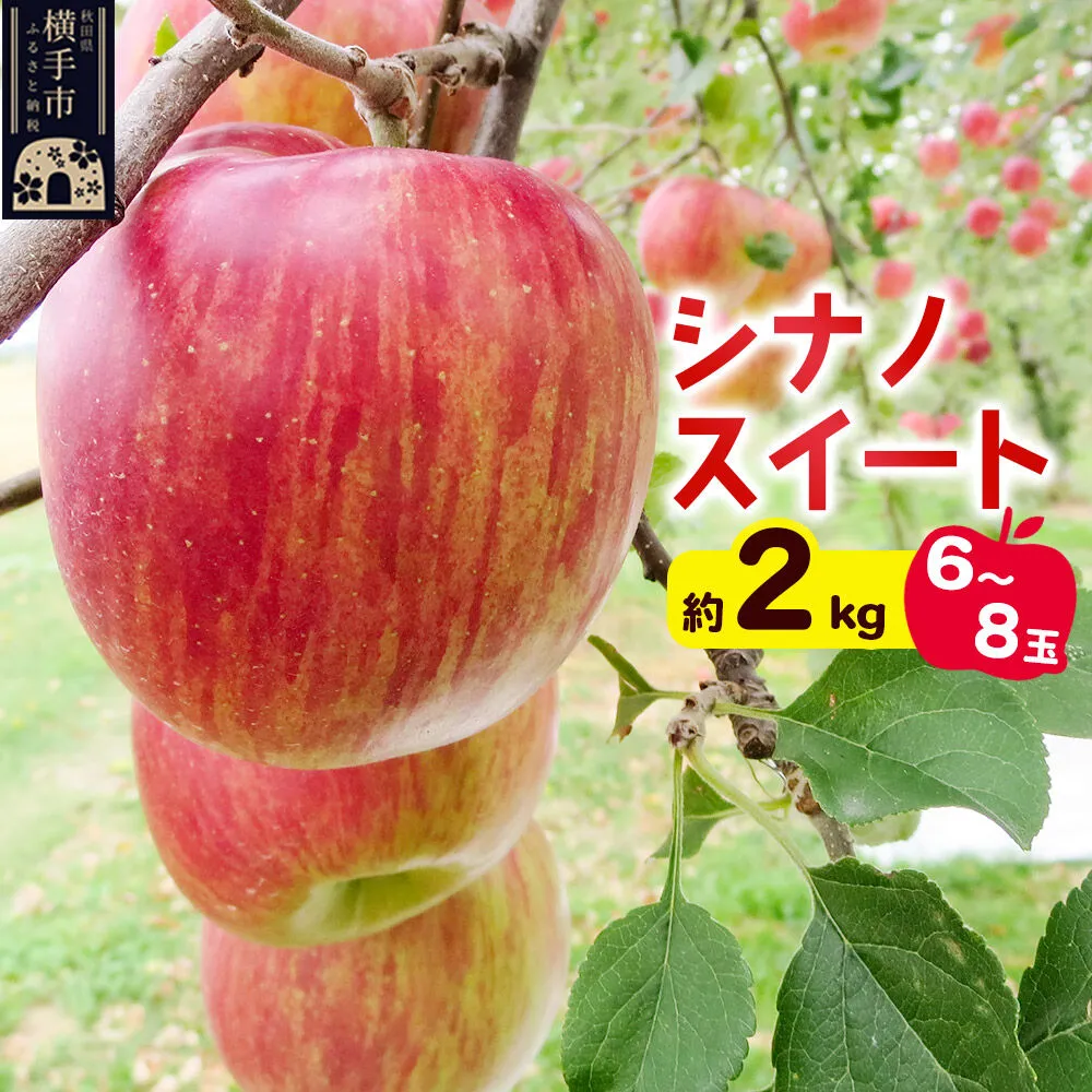 [先行受付]10月中旬より発送 シナノスイート約2kg(6〜8玉)りんご 秋田県横手市 [先行予約 秋田県 横手市 林檎 リンゴ 果物 フルーツ] 秋田県横手市