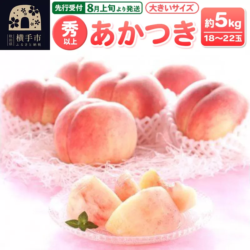 【先行受付】8月上旬より発送 横手市増田産の桃 あかつき 約5kg 秀以上 18〜22玉 大きいサイズ 横手市