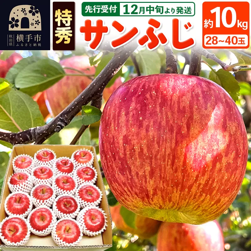 【先行受付】12月中旬より発送 サンふじ 【特秀】 約10kg（28〜40玉）りんご 林檎