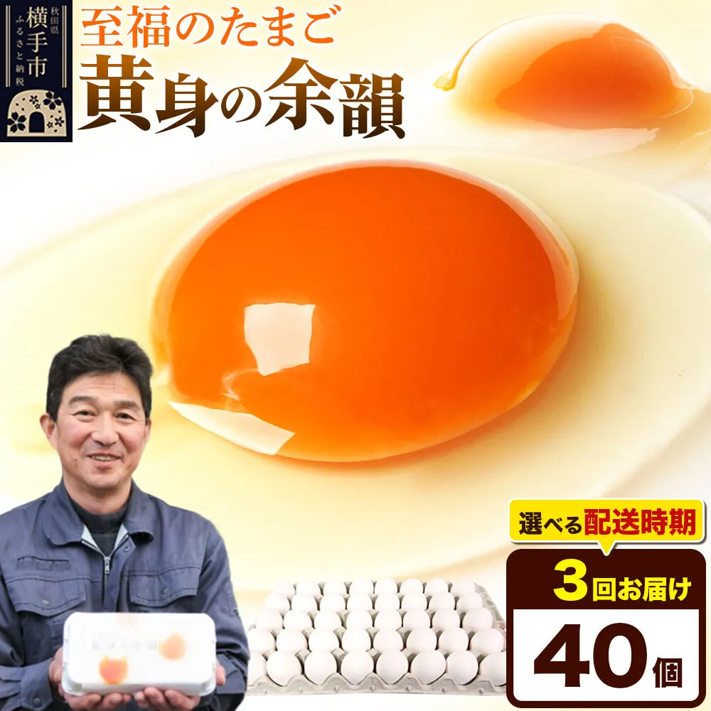 【常温発送】《定期便3ヶ月》黄身の余韻 40個（業務用）【発送時期が選べる】東海林養鶏場 黄身の余韻 卵 玉子 たまご タマゴ 3か月 3ヵ月 3カ月 3ケ月 開始時期選べる [東海林養鶏場 黄身の余韻 卵 玉子 たまご タマゴ 3か月 3ヵ月 3カ月 3ケ月 開始時期選べる] 秋田県横手市